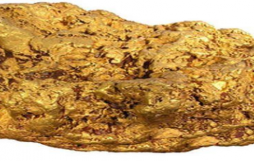 raw gold nuggets